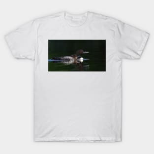 Common loon with chick T-Shirt